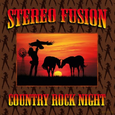 Country rock night - stereo night [CD]