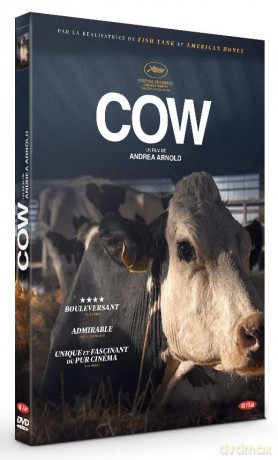 Cow (Krowa) [DVD]