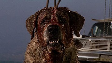 Cujo [Blu-Ray]