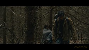 dans la foret