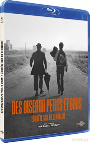 DES OISEAUX PETITS ET GROS + ENQUETE SUR LA SEXUALITE