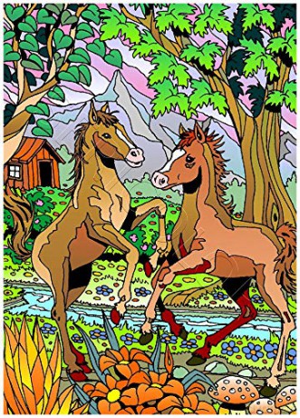 Deux POULAINS - Tableau A COLORIER