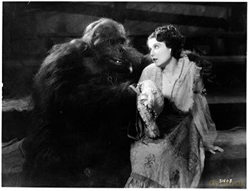 Double assassinat dans la rue Morgue - Combo