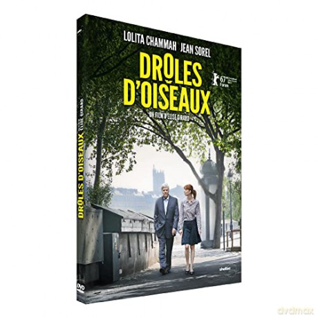 Drôles d'oiseaux