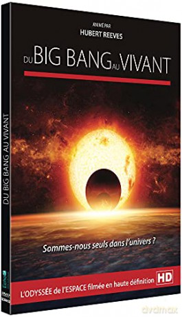 du Big Bang au Vivant