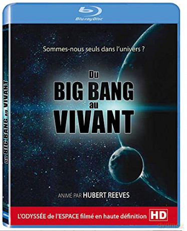 du Big Bang au Vivant