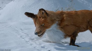 en Attendant la Neige