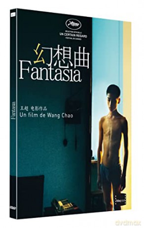 Fantasia (Fantazja) [DVD]