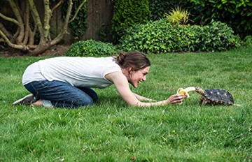 Laggies (Życie nie gryzie) [DVD]