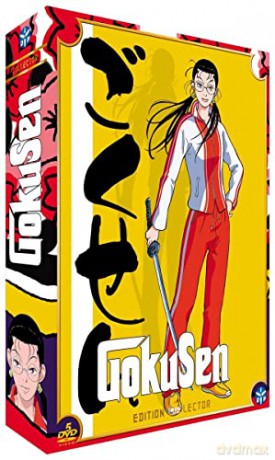 Gokusen - Intégrale - Edition Collector (5 + Livret)