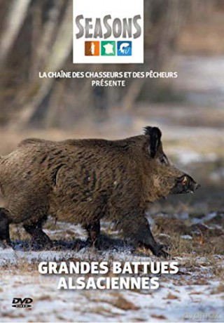 Grandes battues alsaciennes