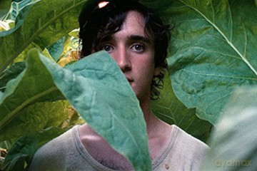 Happy as Lazzaro (Szczęśliwy Lazzaro) [DVD]
