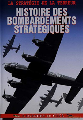 Histoire des bombardements stratégie de la Terreur