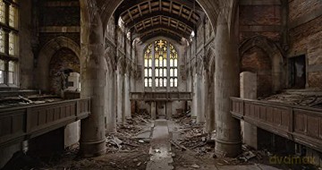 Homo sapiens [DVD]