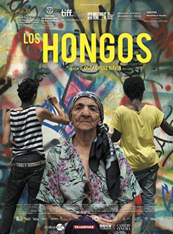 Hongos, Los