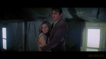 I Walk The Line (Le Pays de la Violence) (Édition Collector + + Livre)