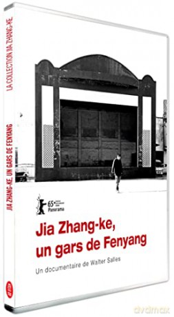 Jia Zhang-ke, Un Gars de Fenyang