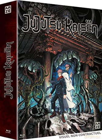 Jujutsu Kaisen- Saison 1- 4
