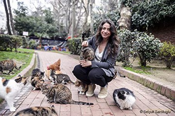 Kedi-des Chats et des Hommes