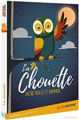 La Chouette Entre Veille et Sommeil