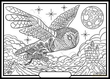 LA Chouette Version Mandala - Tableau A COLORIER