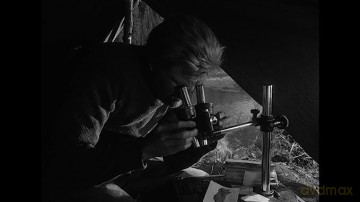 La Lettre inachevée
