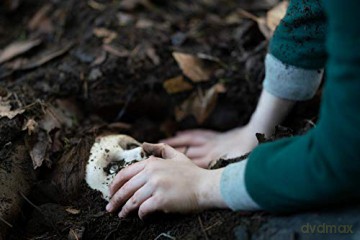 La Malédiction de Brahms-The Boy 2