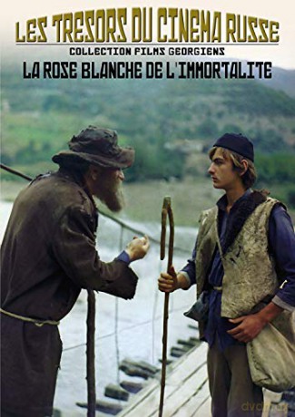 La Rose Blanche de l'immortalité
