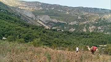 La-haut perchés