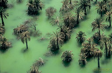 L'Algérie Vue du Ciel
