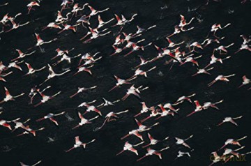 L'Algérie Vue du Ciel