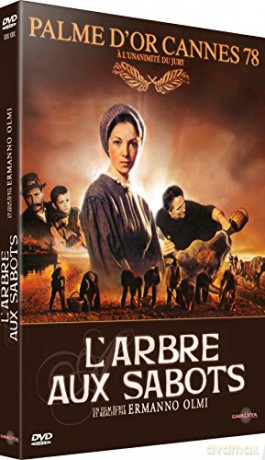l'arbre aux Sabots