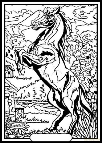 Le Cheval CABRE - Tableau A COLORIER