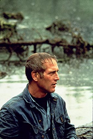 Sometimes a Great Notion (Rodzina Stamperów) [Blu-Ray]