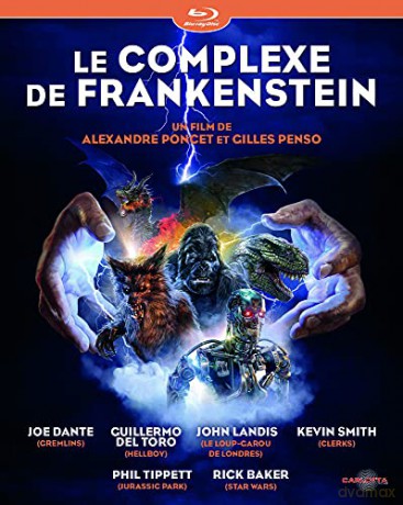 Le Complexe de Frankenstein
