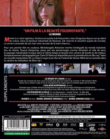 Le Désert Rouge