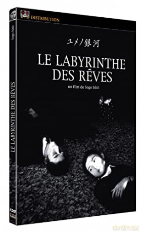 Le Labyrinthe des reves