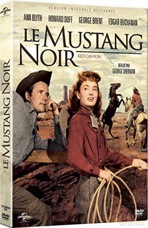 Le Mustang Noir