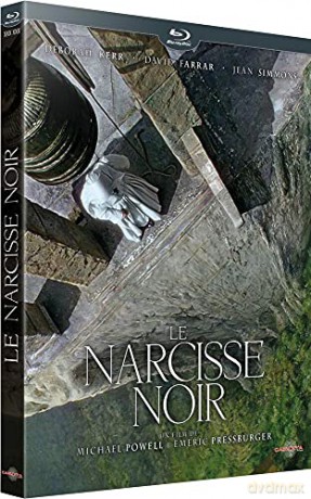 Le Narcisse Noir (Édition Collector)