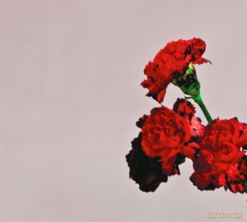 John Legend: Love In The Future Deluxe [CD]