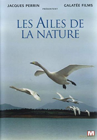 Les Ailes de la Nature