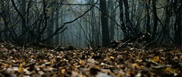 Les Animaux anonymes