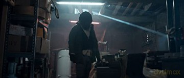 Les Animaux anonymes