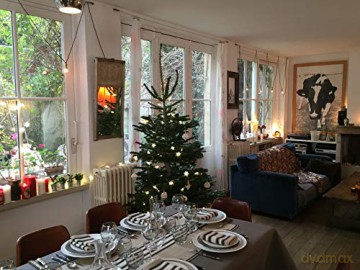 Les Carnets de Julie-12 Repas de fete
