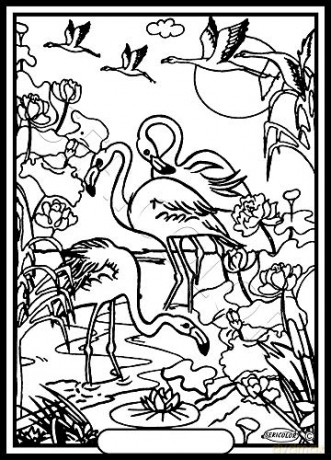 Les Flamants Roses - Tableau A COLORIER