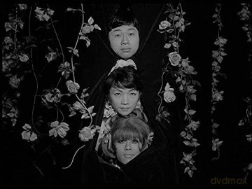 Les Funérailles des Roses