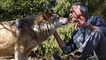 Les Loups du Gévaudan