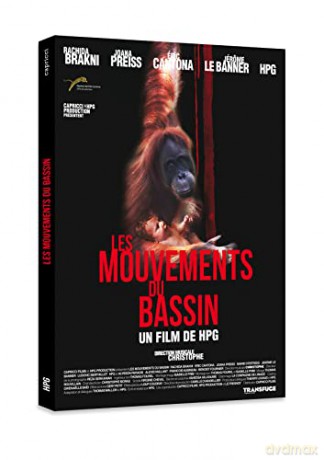 Les Mouvements du Bassin