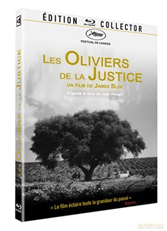 Les Oliviers de la Justice (Édition Collector)
