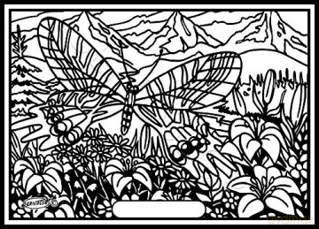 Les Papillons - Tableau A COLORIER
